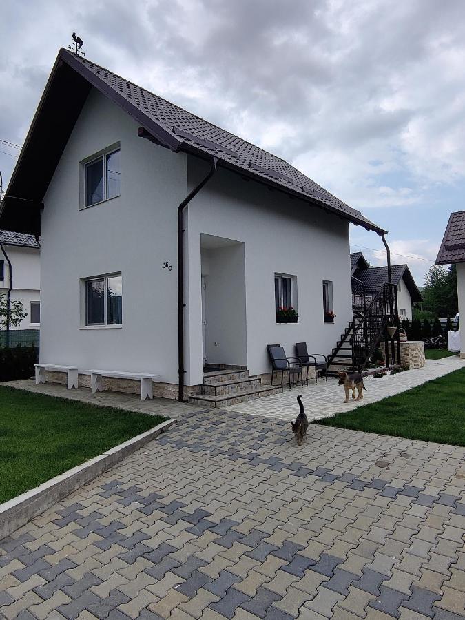 Vizuina Lupului Hotel Gura Humorului Luaran gambar